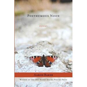 Posthumous Noon -- Aaron Baker